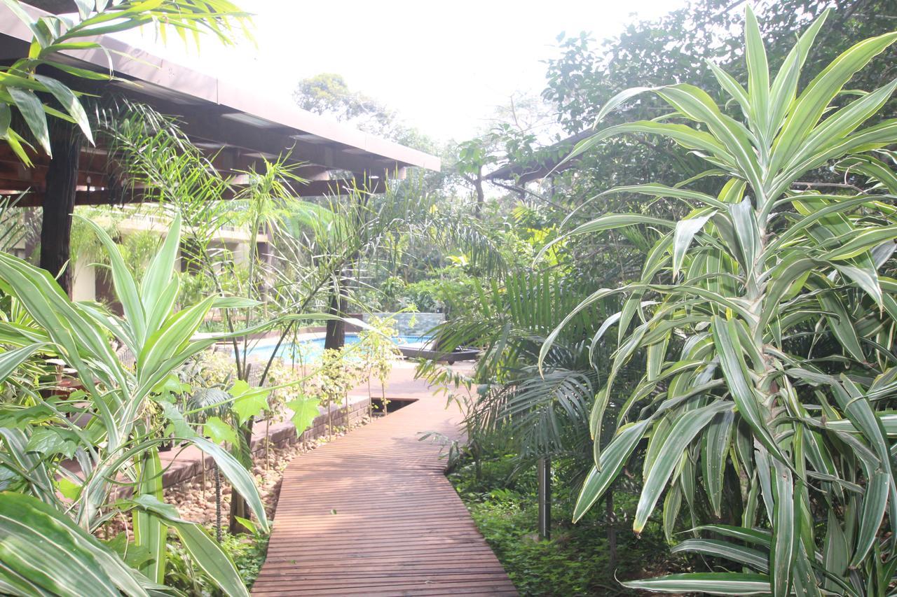 Forest Villa's Saint Lucia Estuary Extérieur photo